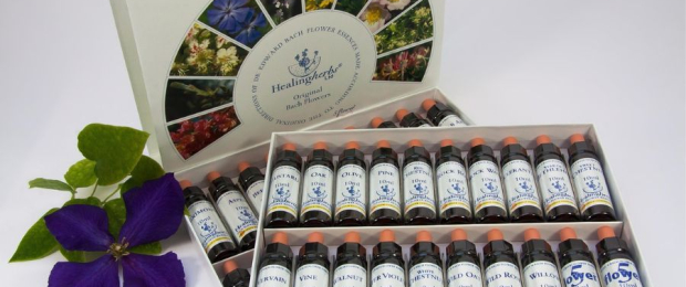 Bach Flowers: A Path to Emotional Balance